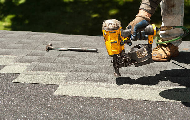 Best Roof Gutter Cleaning  in Janesville, IA