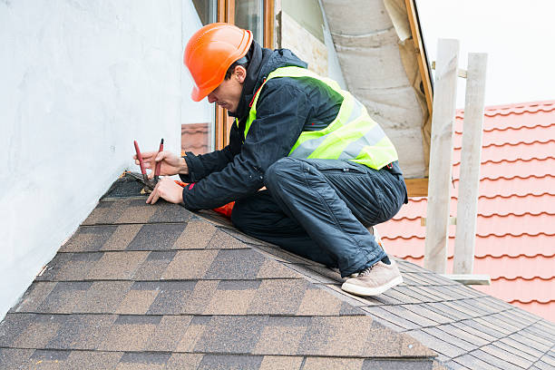 Best Roof Leak Repair  in Janesville, IA